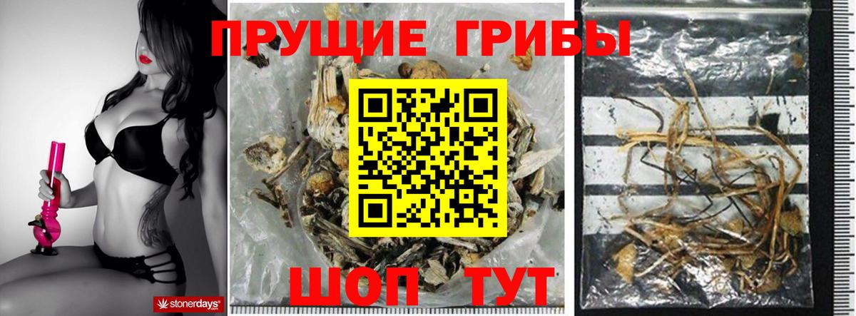 Сокол  Галлюциногенные грибы прущие грибы  Псилоцибиновые грибы Magic Shrooms  как найти наркотики  Вход с VPN 