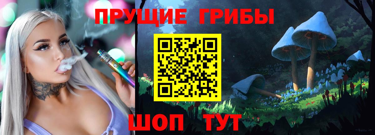 Галлюциногенные грибы Psilocybe Сокол